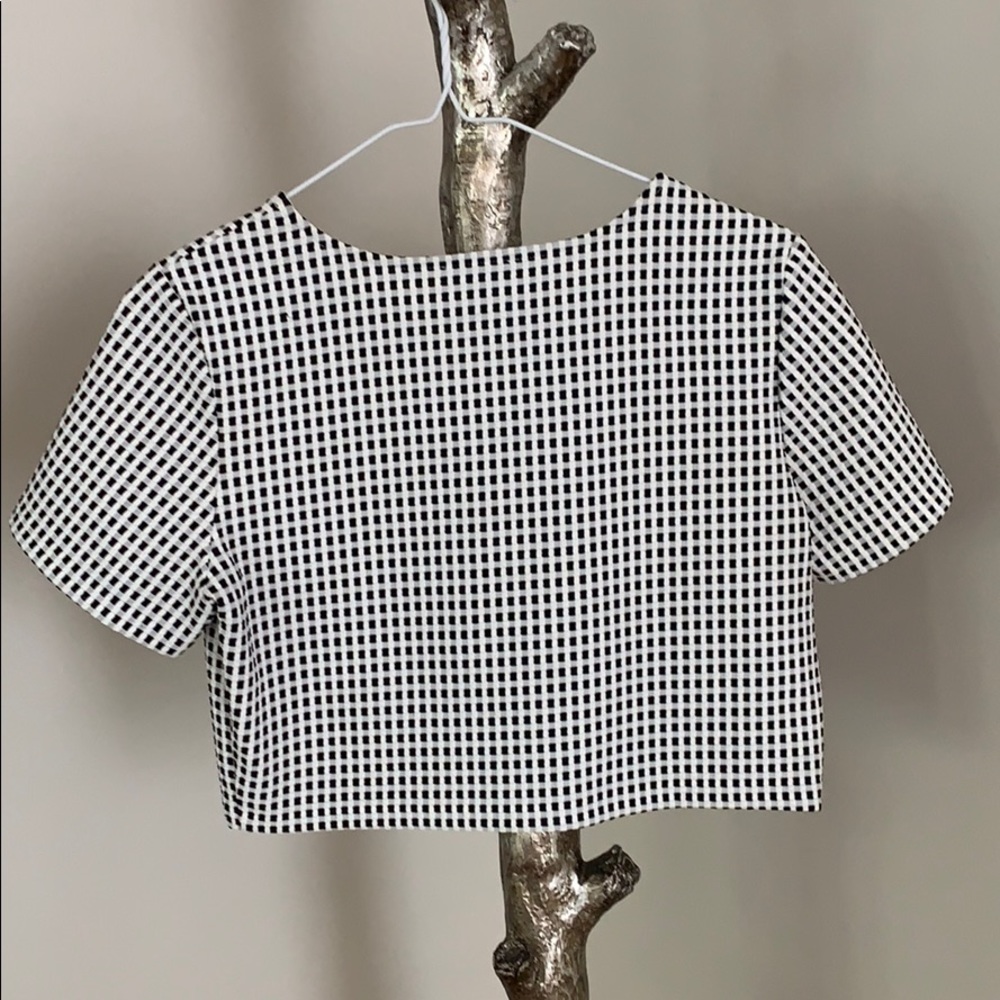Chic & Structured Crop Top - Picture 5 of 5